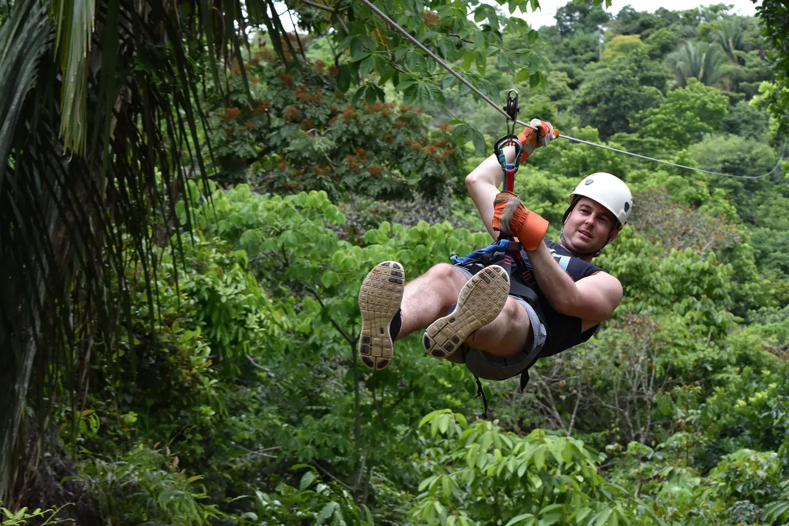 Ziplines & Canopy