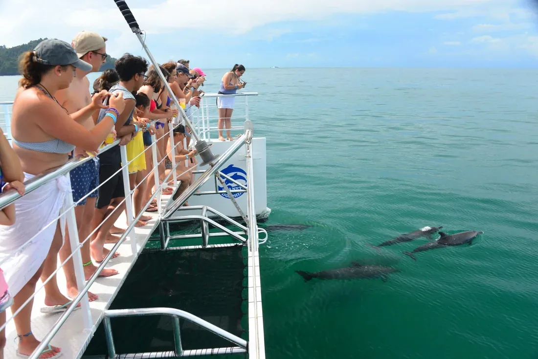 Catamaran sailing tour for cruise passengers in Costa Rica