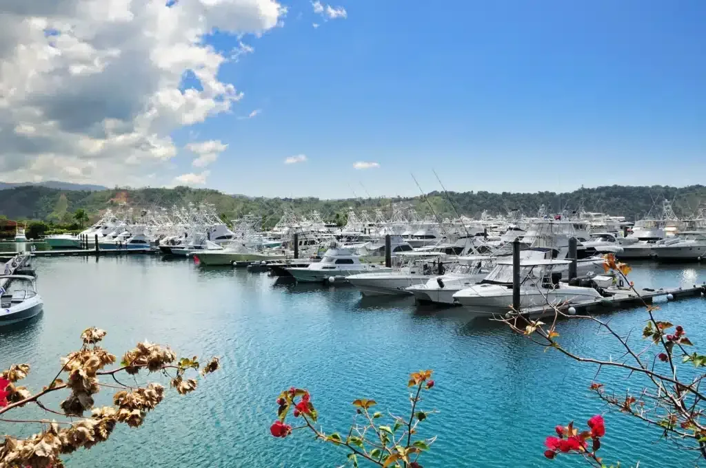 Luxury yacht charter on the Pacific coast near Manuel Antonio, Costa Rica