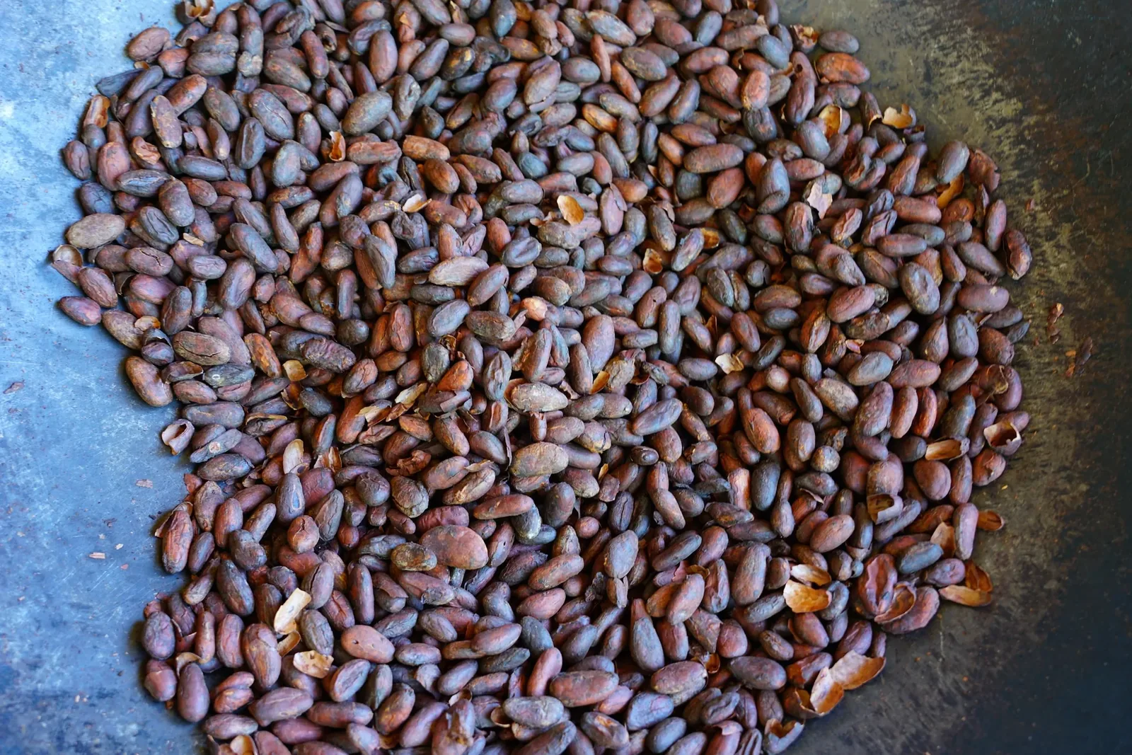 Chocolate and coffee farm cultural cruise excursion in Costa Rica
