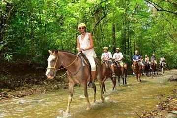 Riders on horseback moving through jungle trails near Quepos, Costa Rica