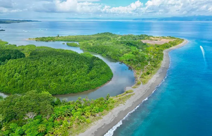 Osa Peninsula rainforest near Puerto Jiménez, Costa Rica