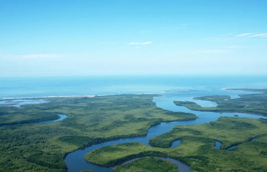 Sierpe River mangroves, gateway to Drake Bay, Costa Rica